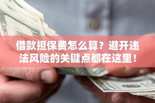 济南借款担保费怎么算？避开违法风险的关键点都在这里！
