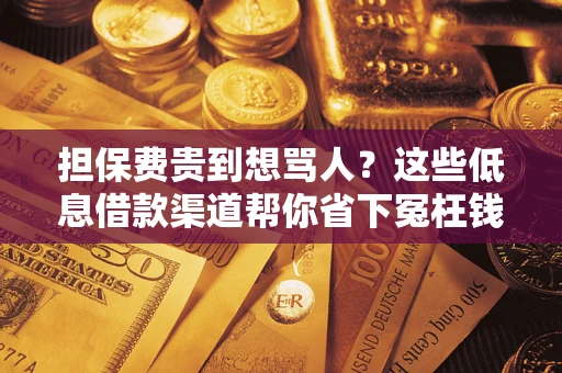 济南担保费贵到想骂人？这些低息借款渠道帮你省下冤枉钱