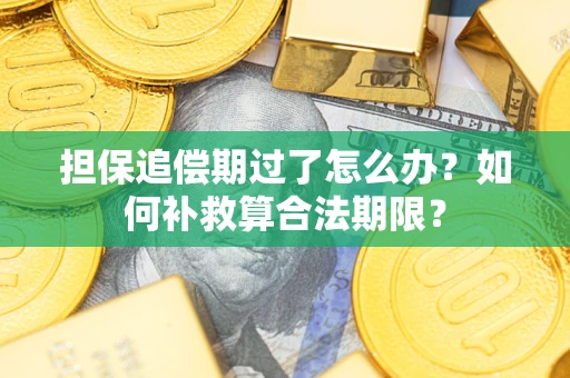 济南担保追偿期过了怎么办？如何补救算合法期限？